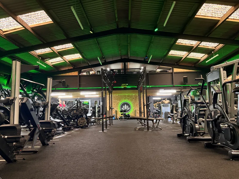 Enzone Muscle and Fitness - Bangor